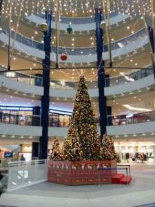 センター南クリスマスツリー２