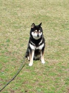 ふるさと公園小太郎