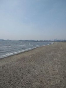 葛西海浜公園２