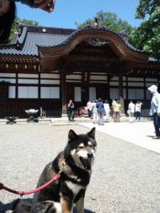 深大寺小太郎１