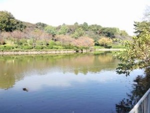 三ツ池公園