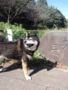 三ツ池公園小太郎