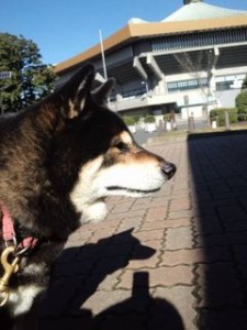 日本武道館小太郎