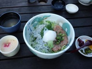 江の島しらす丼