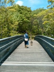 都筑中央公園小太郎、妻