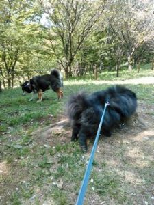 都筑中央公園小太郎くま吉