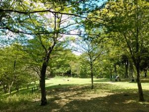 都筑中央公園１