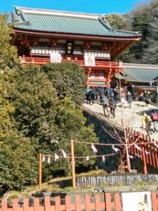 2018鎌倉八幡宮