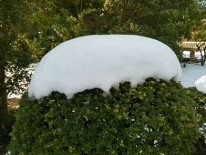 垣根の雪